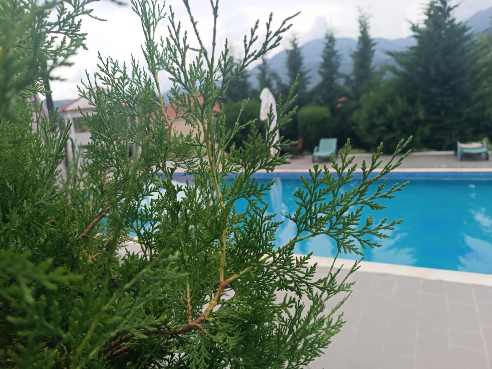 Gabala Bliss Inn Hotel And Restaurant エクステリア 写真