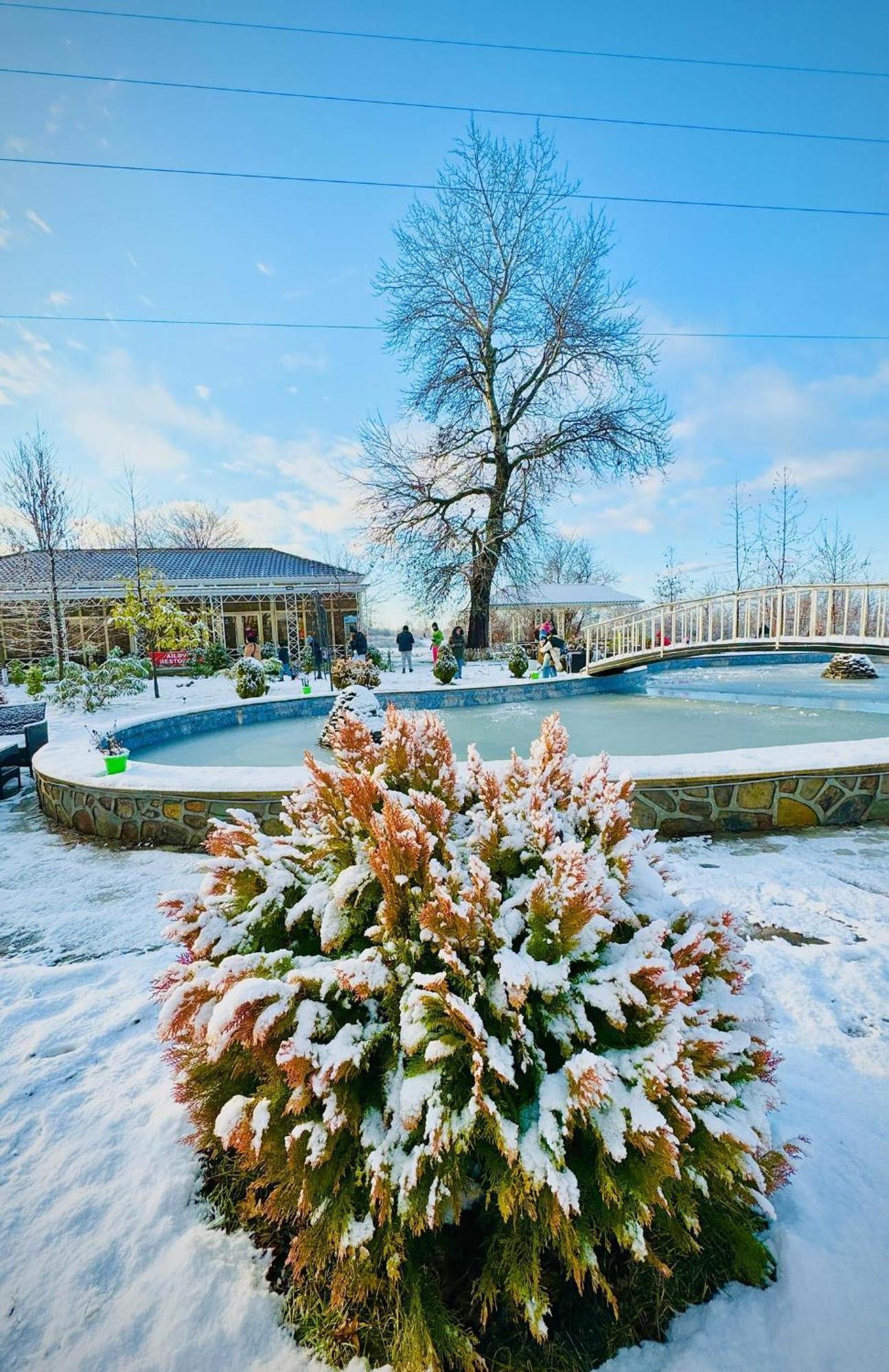 Gabala Bliss Inn Hotel And Restaurant エクステリア 写真