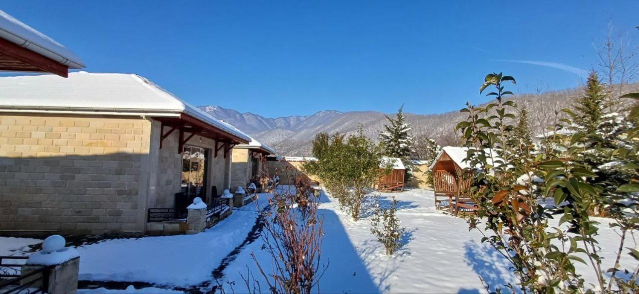 Gabala Bliss Inn Hotel And Restaurant エクステリア 写真
