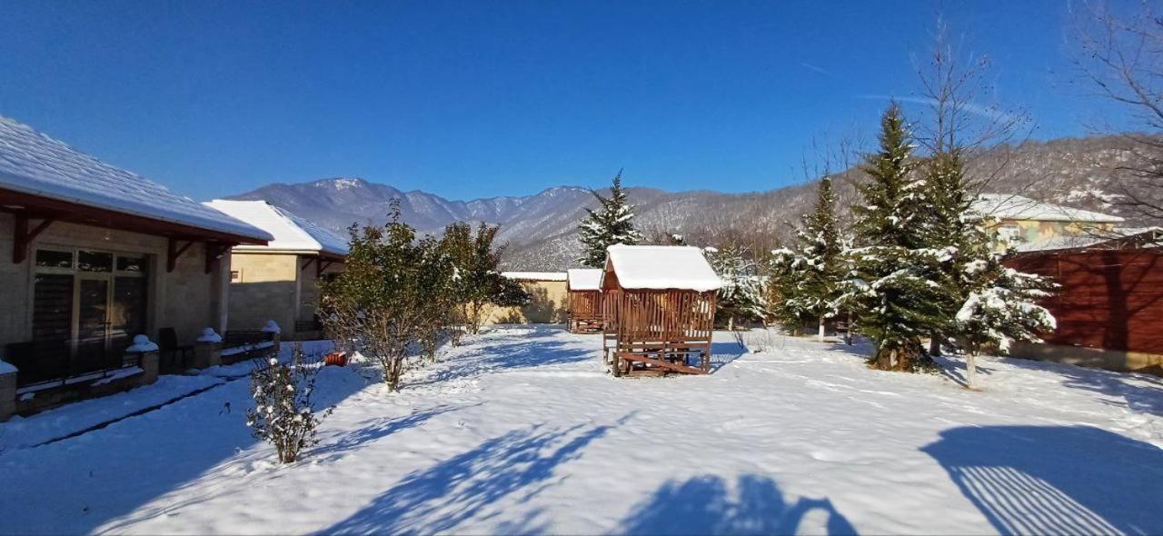 Gabala Bliss Inn Hotel And Restaurant エクステリア 写真